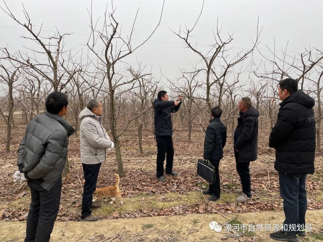 严把食用林产品源头关 确保“舌尖上的安全”——市自然资源和规划局开展食用林产品安全宣传活动.jpg